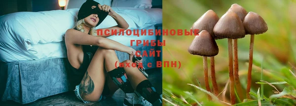 ECSTASY Саяногорск