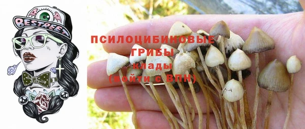 экстази Сатка