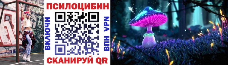 Галлюциногенные грибы Psilocybine cubensis  купить   Каневская 